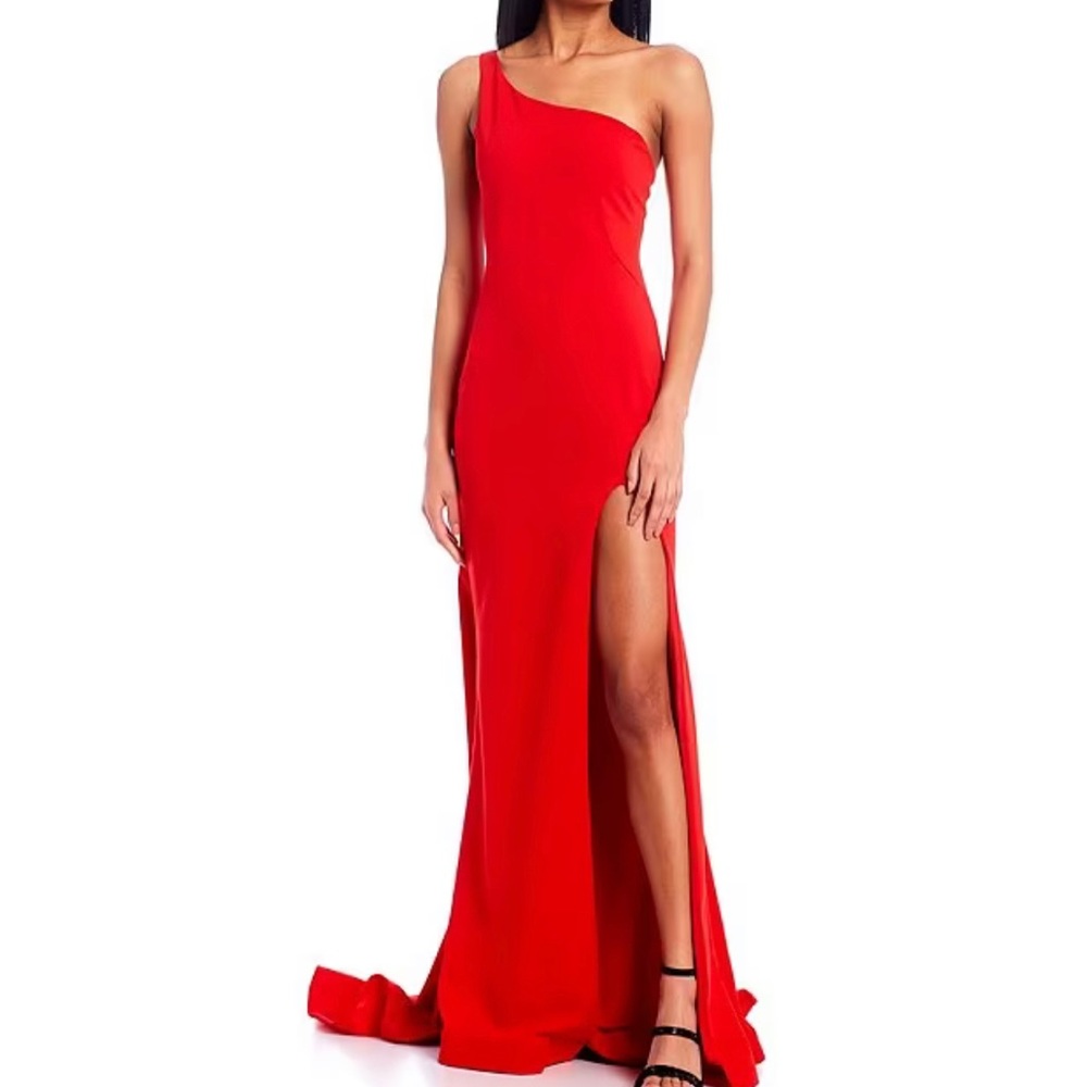 Formal dress worn once